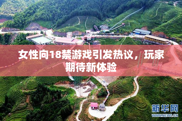 女性向18禁游戏引发热议，玩家期待新体验
