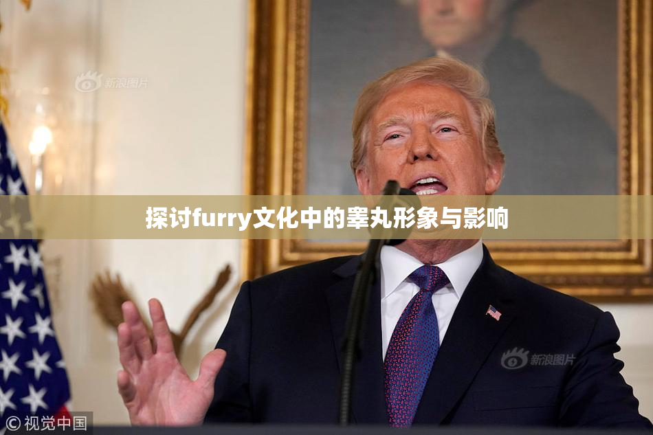 探讨furry文化中的睾丸形象与影响