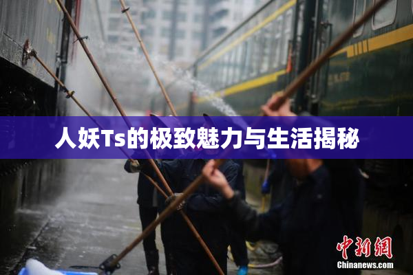人妖Ts的极致魅力与生活揭秘