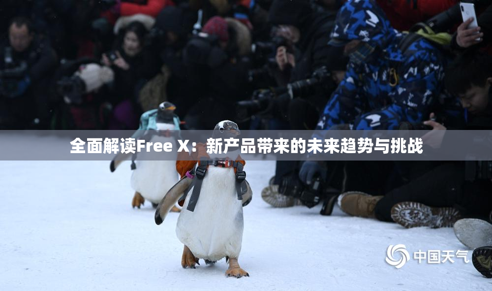 全面解读Free X：新产品带来的未来趋势与挑战