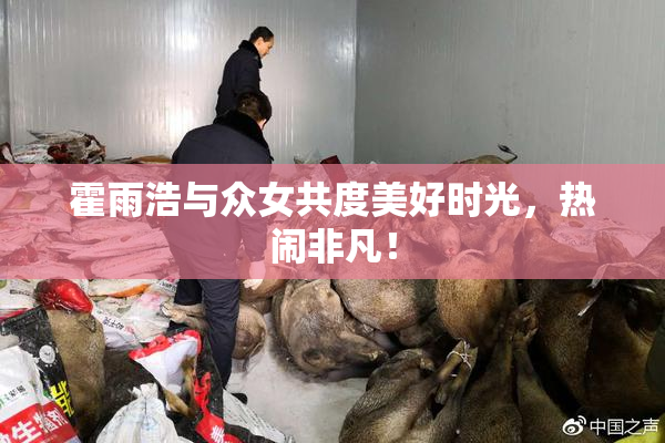 霍雨浩与众女共度美好时光，热闹非凡！