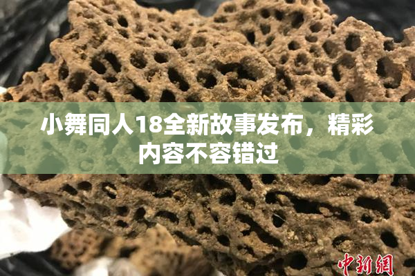 小舞同人18全新故事发布，精彩内容不容错过