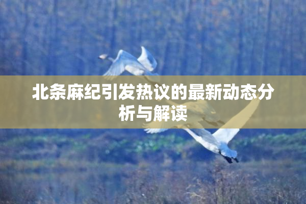 北条麻纪引发热议的最新动态分析与解读