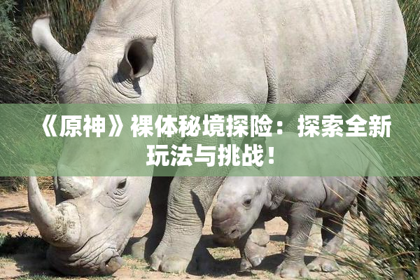 《原神》裸体秘境探险：探索全新玩法与挑战！