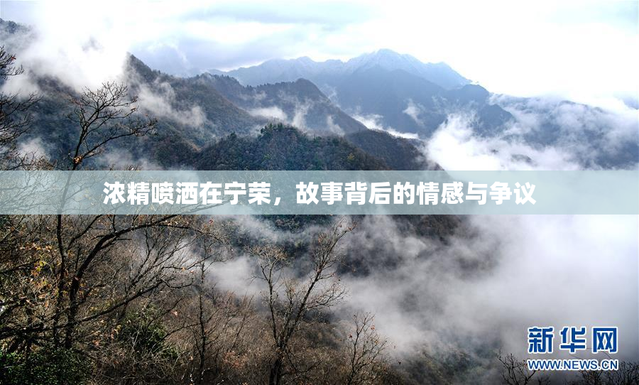 浓精喷洒在宁荣，故事背后的情感与争议