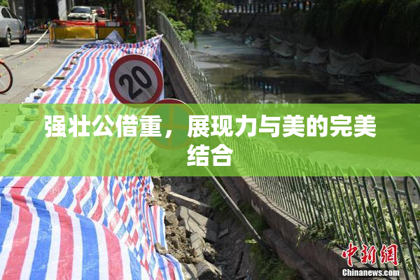 强壮公借重，展现力与美的完美结合