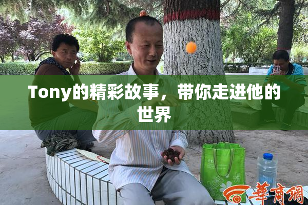 Tony的精彩故事，带你走进他的世界