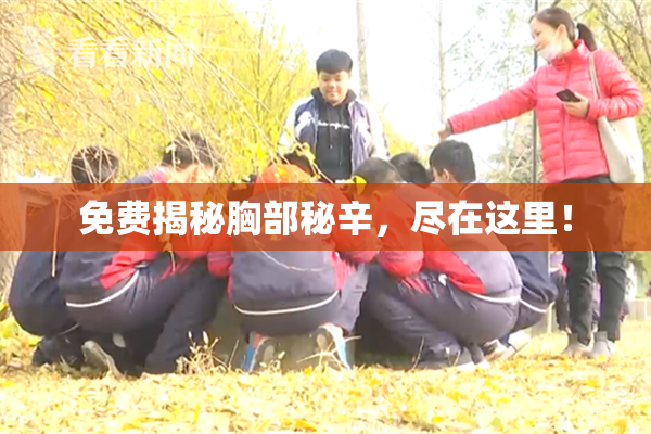 免费揭秘胸部秘辛，尽在这里！