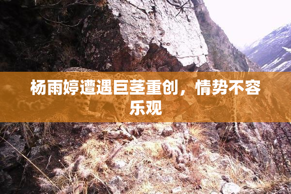 杨雨婷遭遇巨茎重创，情势不容乐观