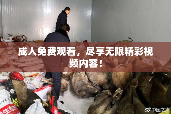 成人免费观看，尽享无限精彩视频内容！