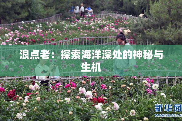 浪点老：探索海洋深处的神秘与生机
