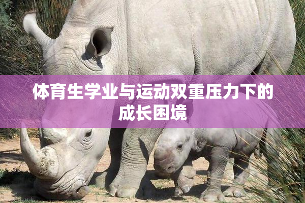 体育生学业与运动双重压力下的成长困境