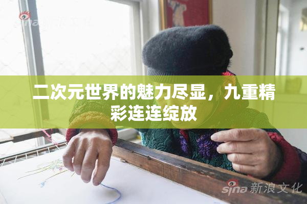 二次元世界的魅力尽显，九重精彩连连绽放