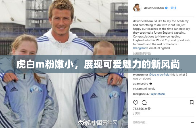 虎白m粉嫩小，展现可爱魅力的新风尚