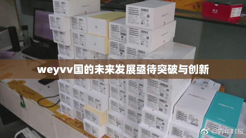 weyvv国的未来发展亟待突破与创新