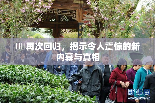 妺妺再次回归，揭示令人震惊的新内幕与真相