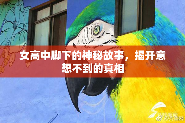 女高中脚下的神秘故事，揭开意想不到的真相