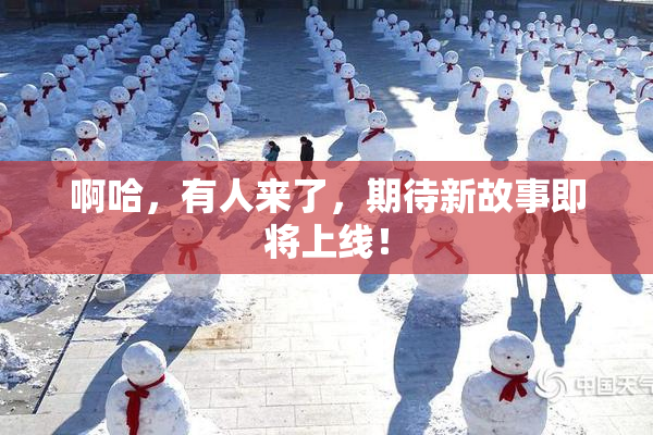 啊哈，有人来了，期待新故事即将上线！