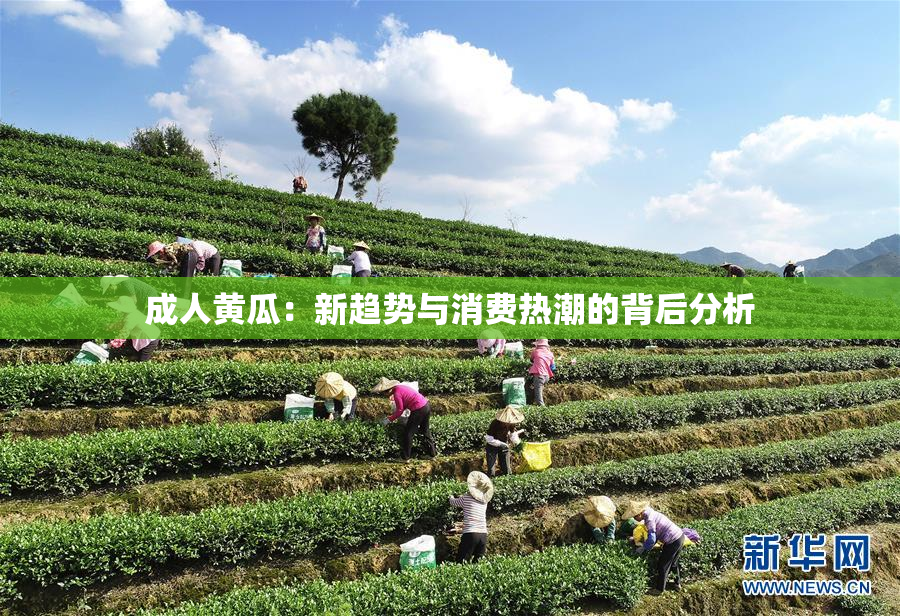 成人黄瓜：新趋势与消费热潮的背后分析