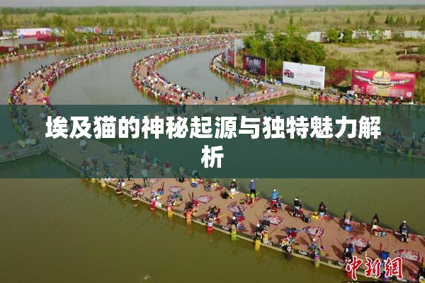 埃及猫的神秘起源与独特魅力解析