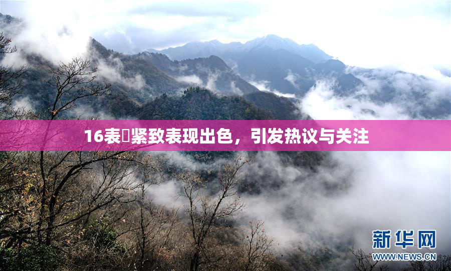 16表妺紧致表现出色，引发热议与关注