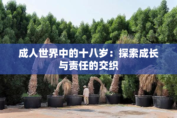 成人世界中的十八岁：探索成长与责任的交织