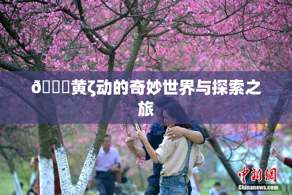 🔞黄ζ动的奇妙世界与探索之旅