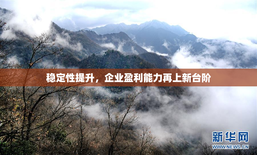 稳定性提升，企业盈利能力再上新台阶