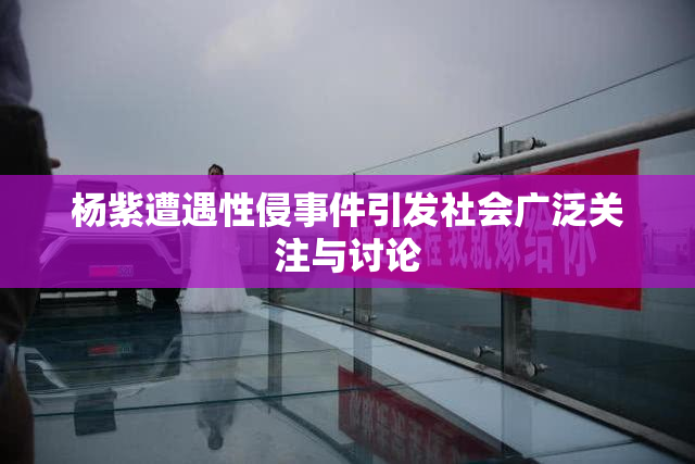 杨紫遭遇性侵事件引发社会广泛关注与讨论