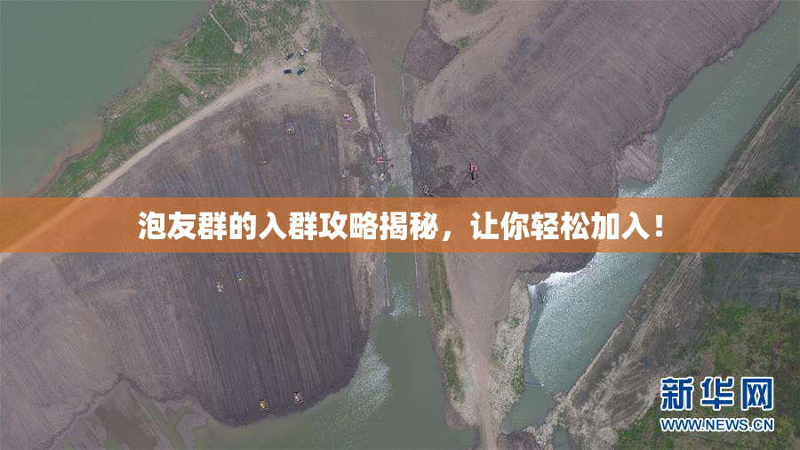 泡友群的入群攻略揭秘，让你轻松加入！