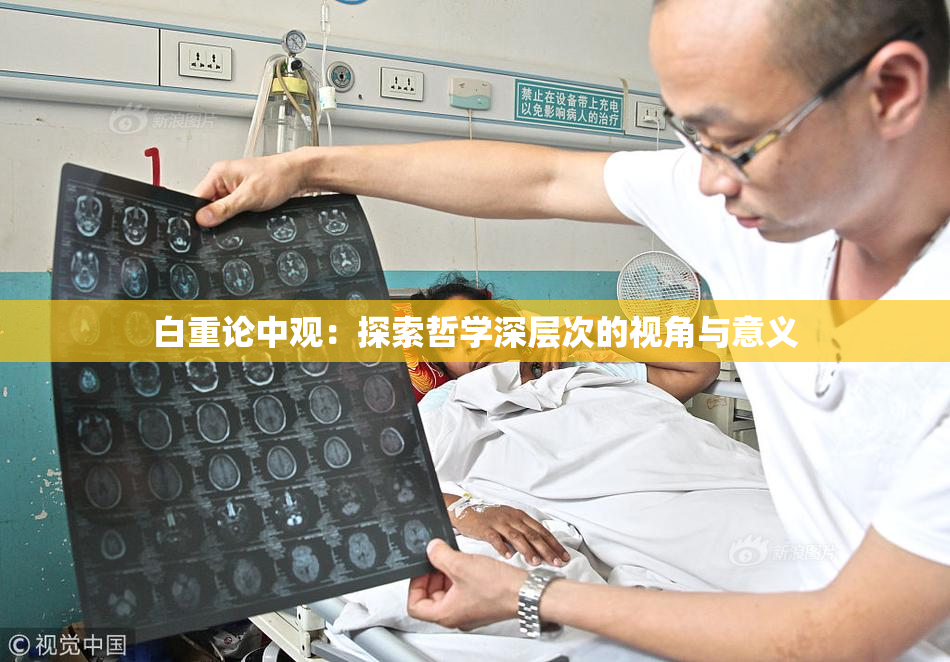 白重论中观：探索哲学深层次的视角与意义