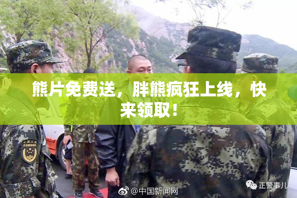 熊片免费送，胖熊疯狂上线，快来领取！