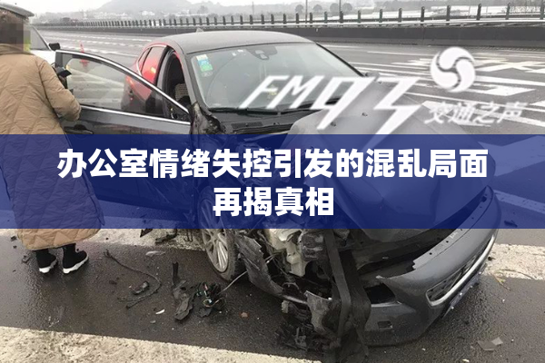 办公室情绪失控引发的混乱局面再揭真相