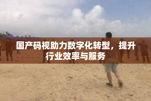 国产码视助力数字化转型，提升行业效率与服务