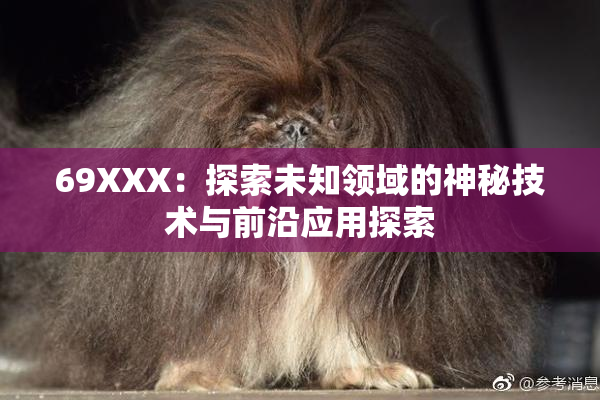69XXX：探索未知领域的神秘技术与前沿应用探索