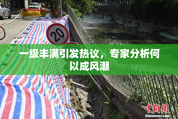 一级丰满引发热议，专家分析何以成风潮