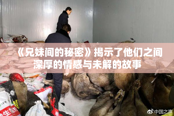 《兄妹间的秘密》揭示了他们之间深厚的情感与未解的故事