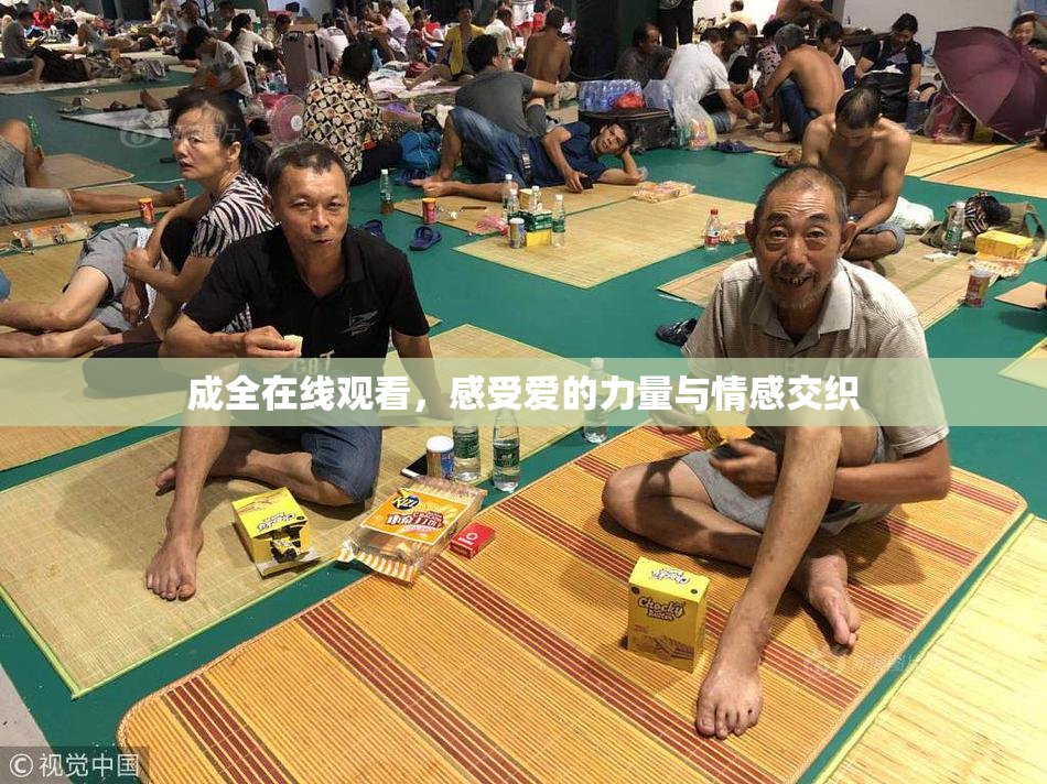 成全在线观看，感受爱的力量与情感交织