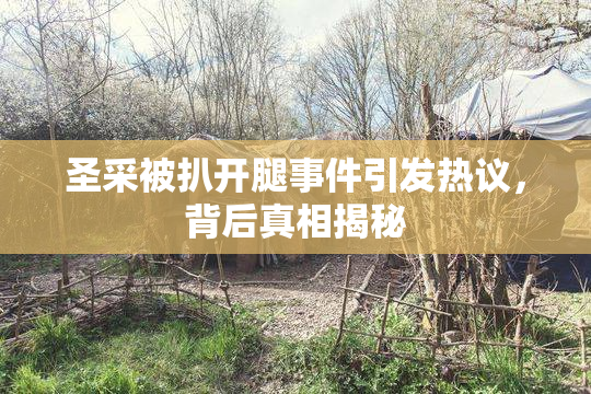 圣采被扒开腿事件引发热议，背后真相揭秘