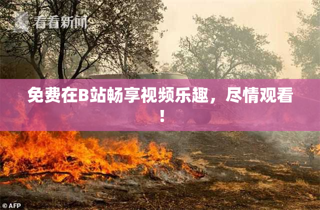 免费在B站畅享视频乐趣，尽情观看！
