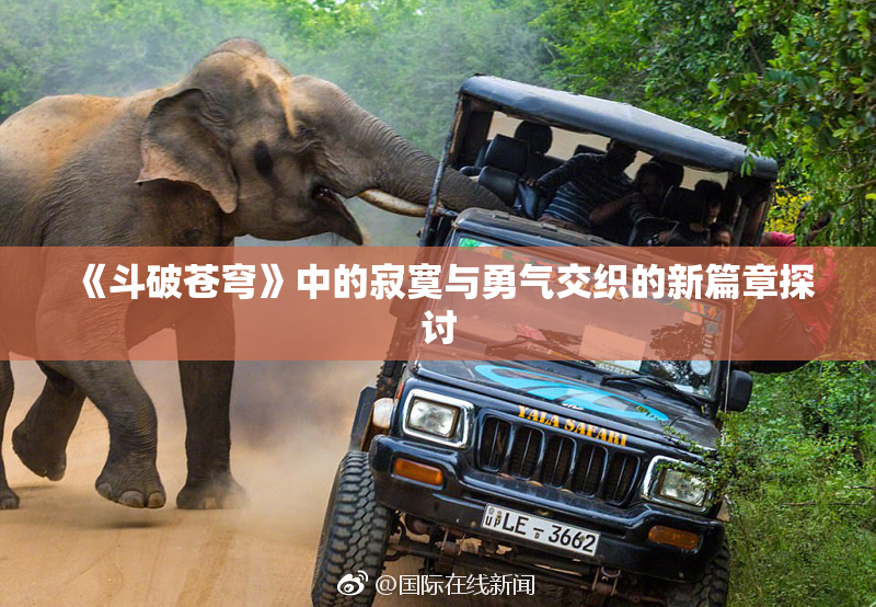 《斗破苍穹》中的寂寞与勇气交织的新篇章探讨