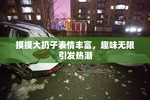 摸摸大扔子表情丰富，趣味无限引发热潮
