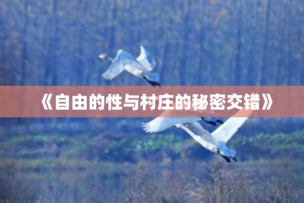 《自由的性与村庄的秘密交错》