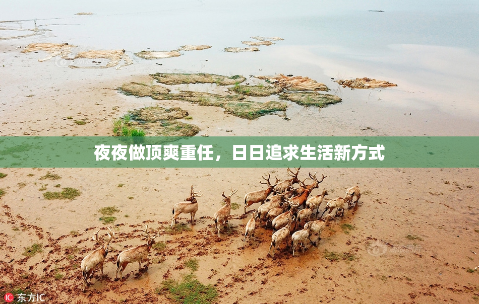 夜夜做顶爽重任，日日追求生活新方式