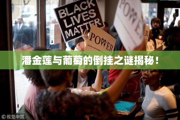 潘金莲与葡萄的倒挂之谜揭秘！