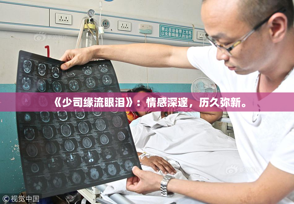 《少司缘流眼泪》：情感深邃，历久弥新。