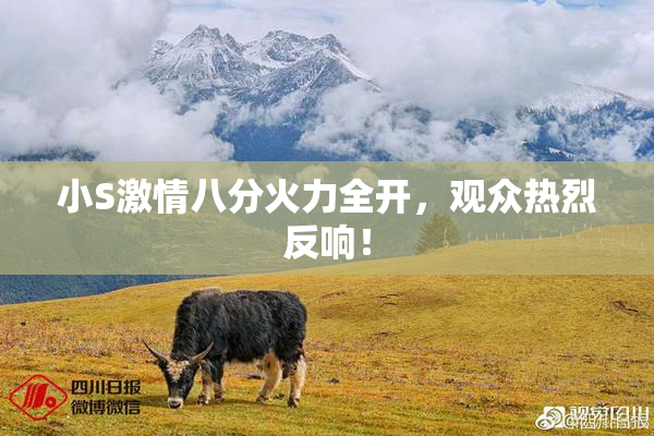 小S激情八分火力全开，观众热烈反响！