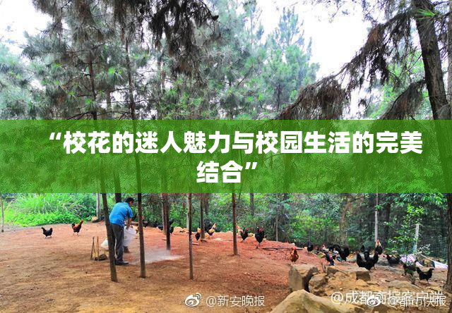 “校花的迷人魅力与校园生活的完美结合”