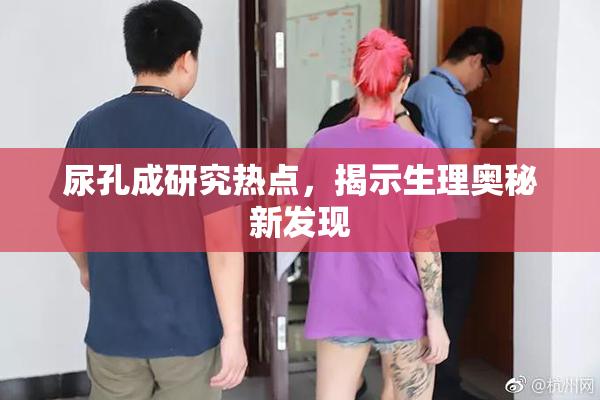 尿孔成研究热点，揭示生理奥秘新发现