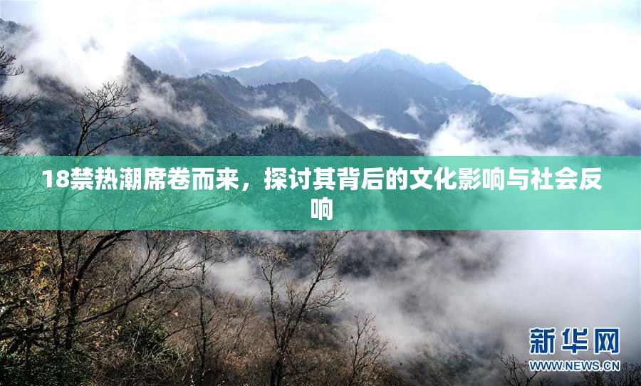 18禁热潮席卷而来，探讨其背后的文化影响与社会反响